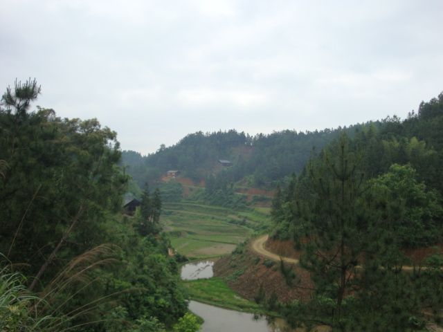 DSC01410.JPG