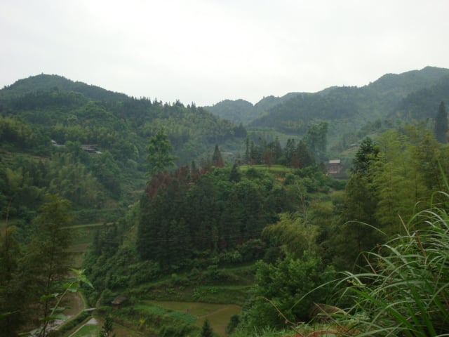 DSC01416.JPG