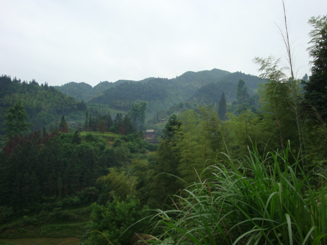 DSC01417.JPG