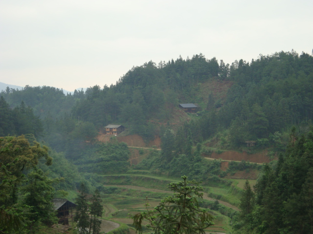 DSC01419.JPG