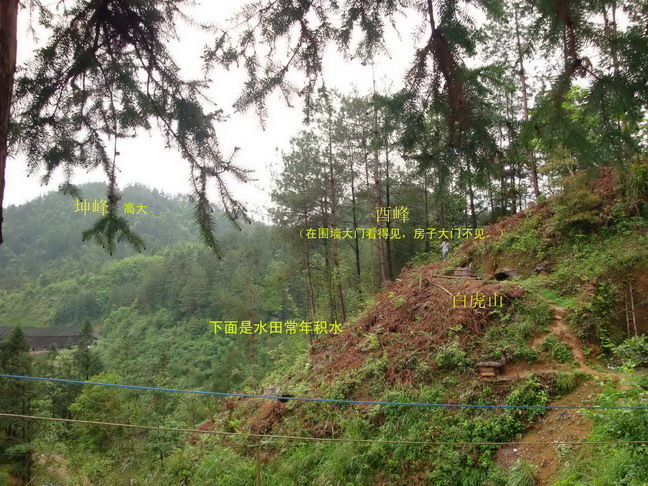 DSC01233副本_调整大小_调整大小.jpg