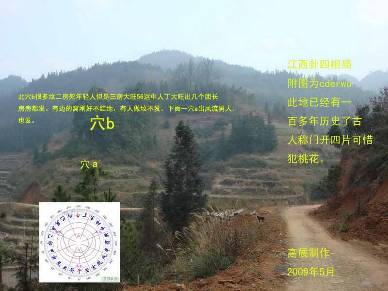 天柱中蜂_50副本副本.jpg