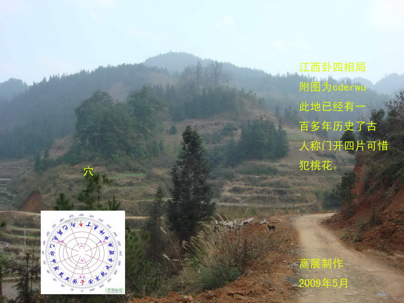 天柱中蜂_50副本.jpg