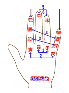 地支六合.gif