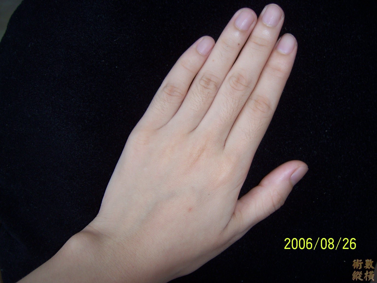 100_0868.JPG