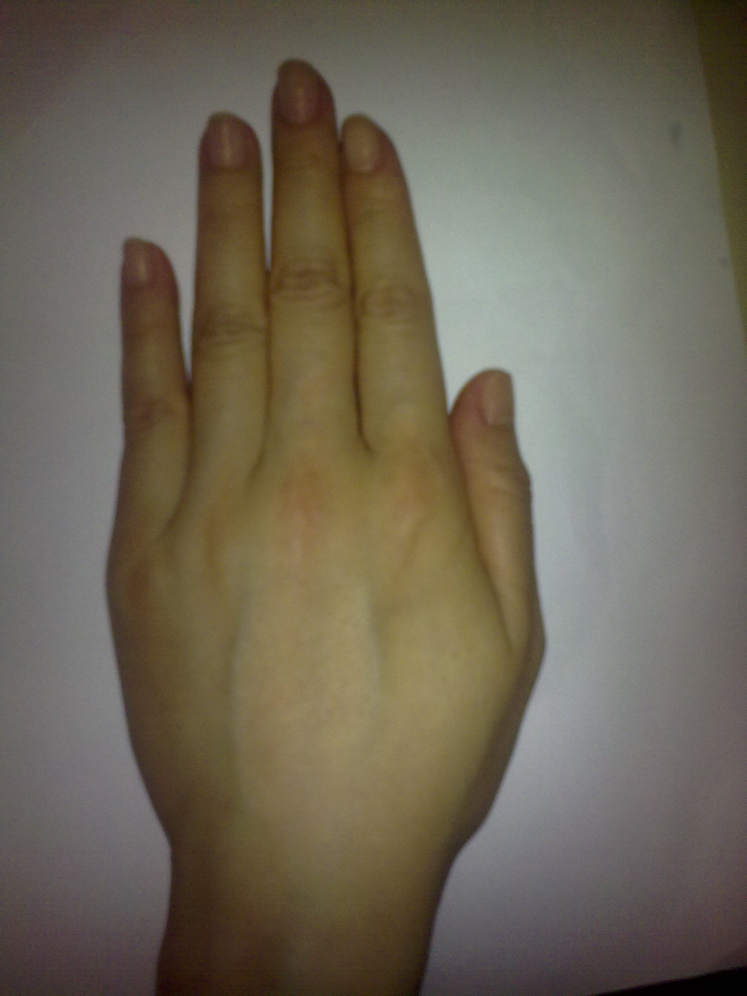 14052010158.jpg