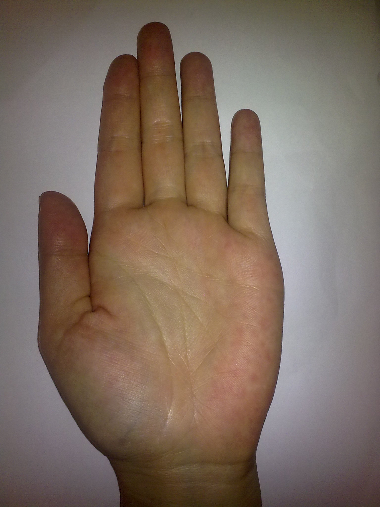 14052010159.jpg