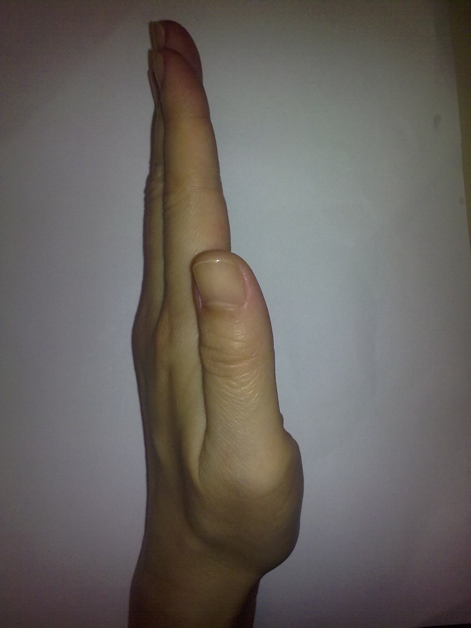 14052010160.jpg