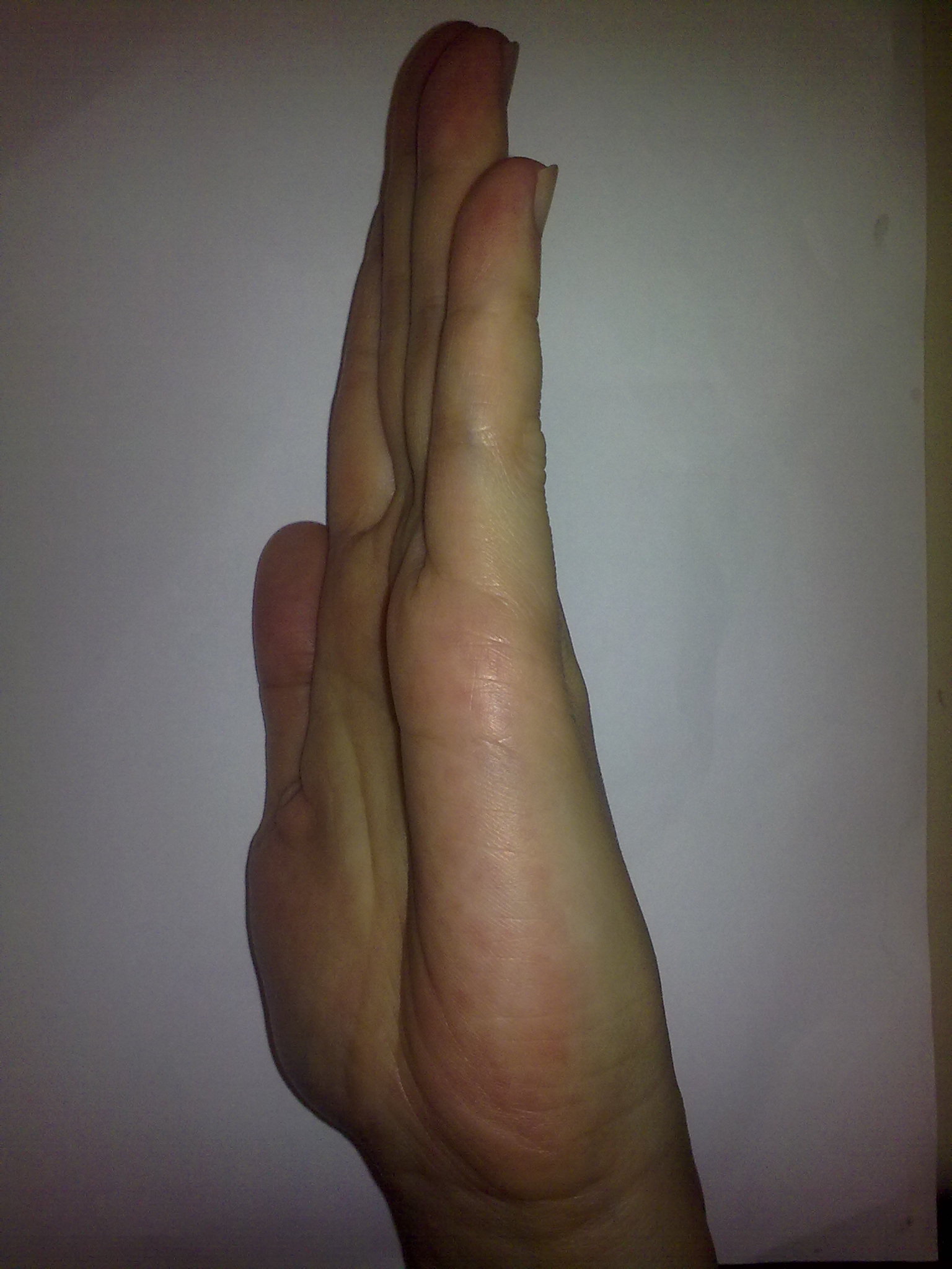 14052010161.jpg