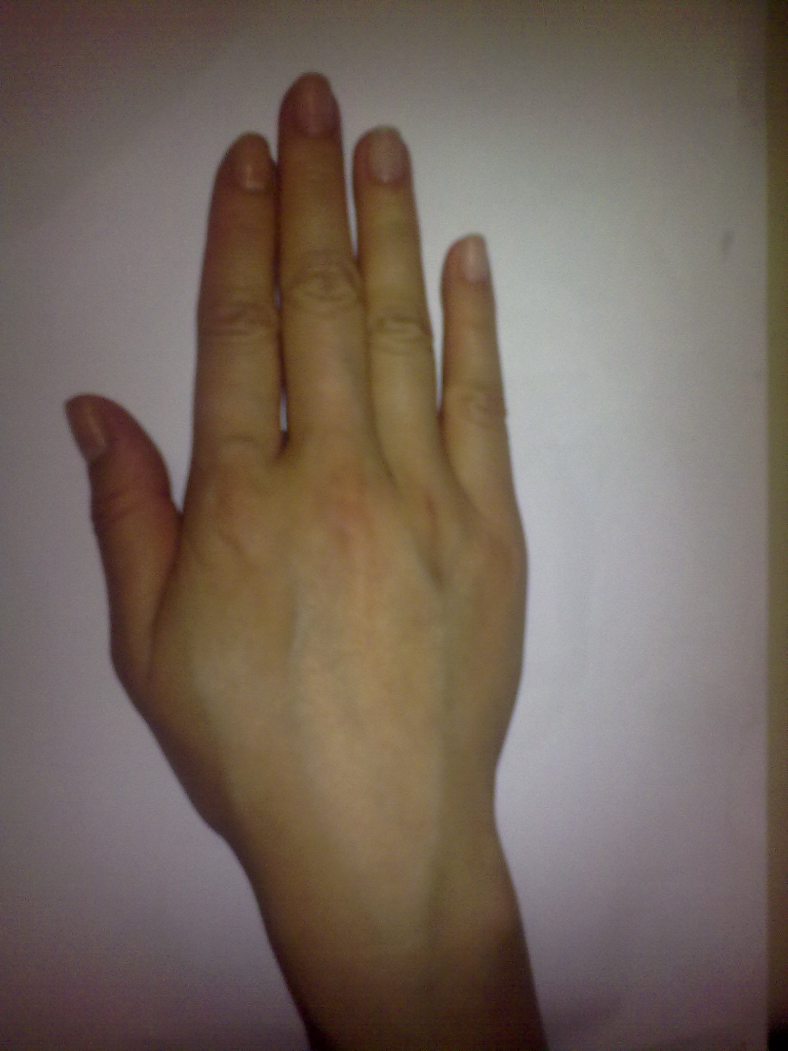 14052010163.jpg