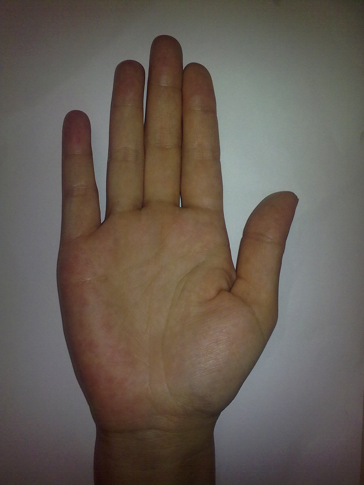 14052010164.jpg
