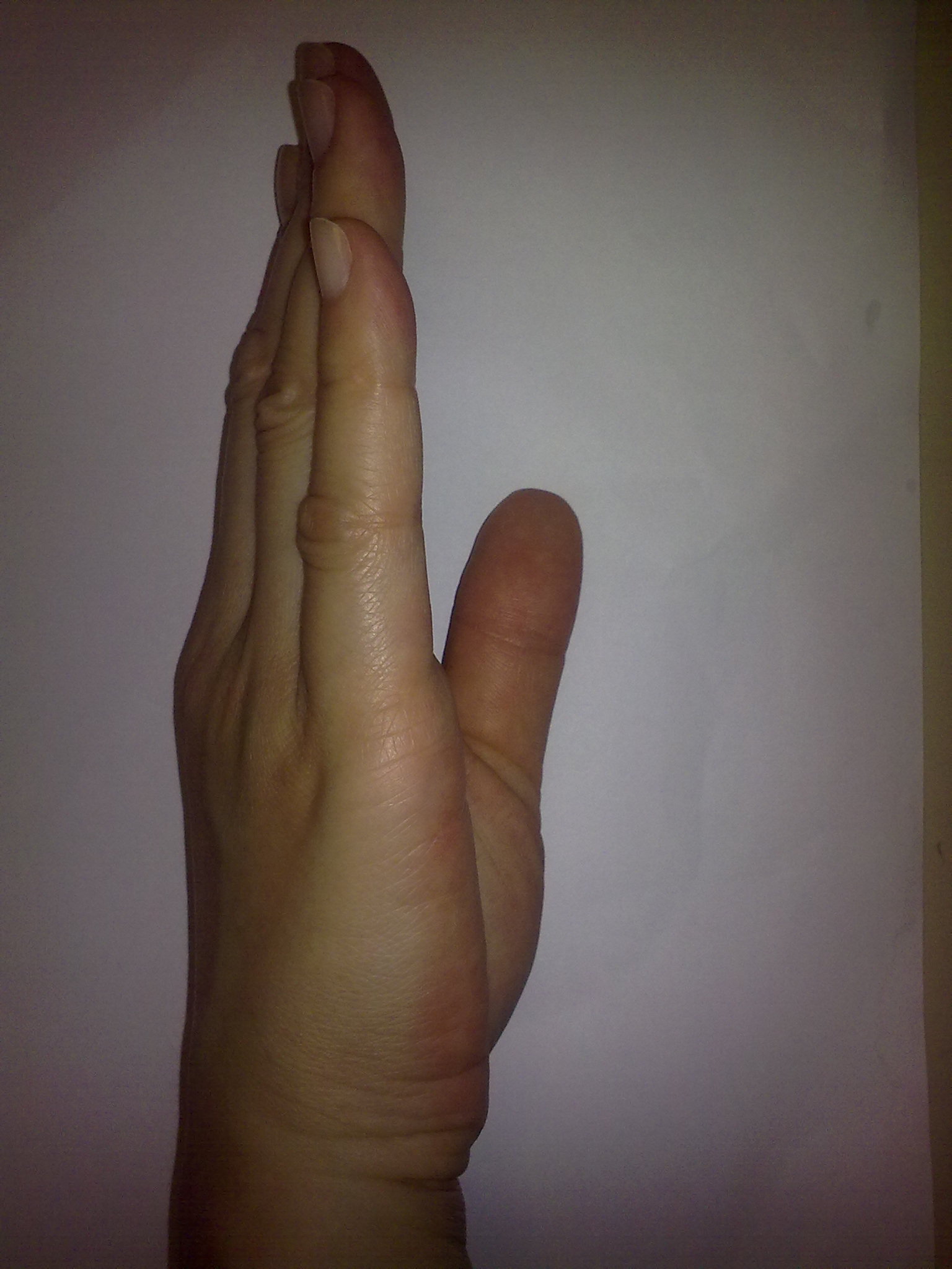 14052010166.jpg