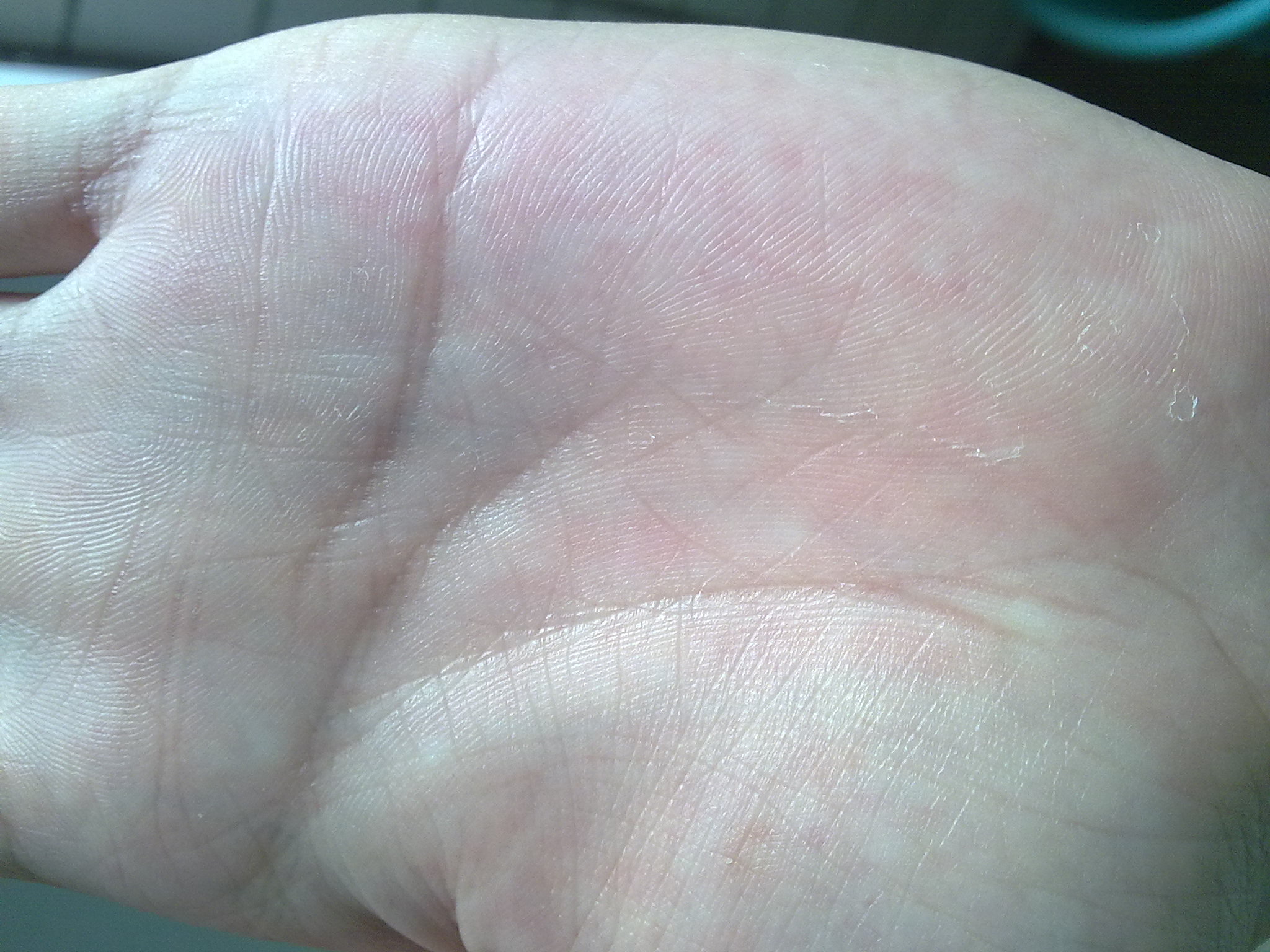 20090220164.jpg