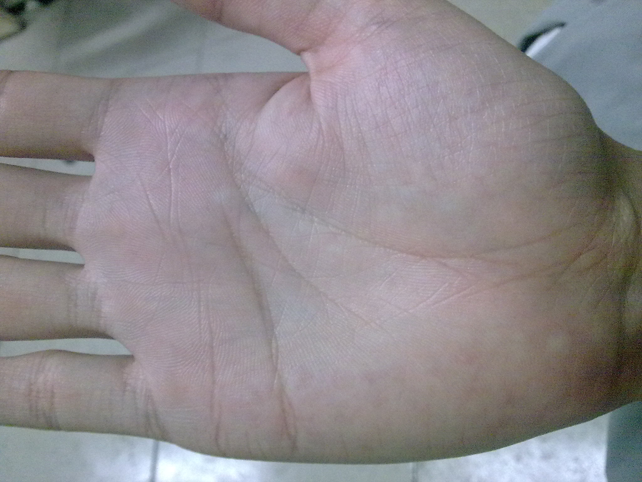 20090302230.jpg