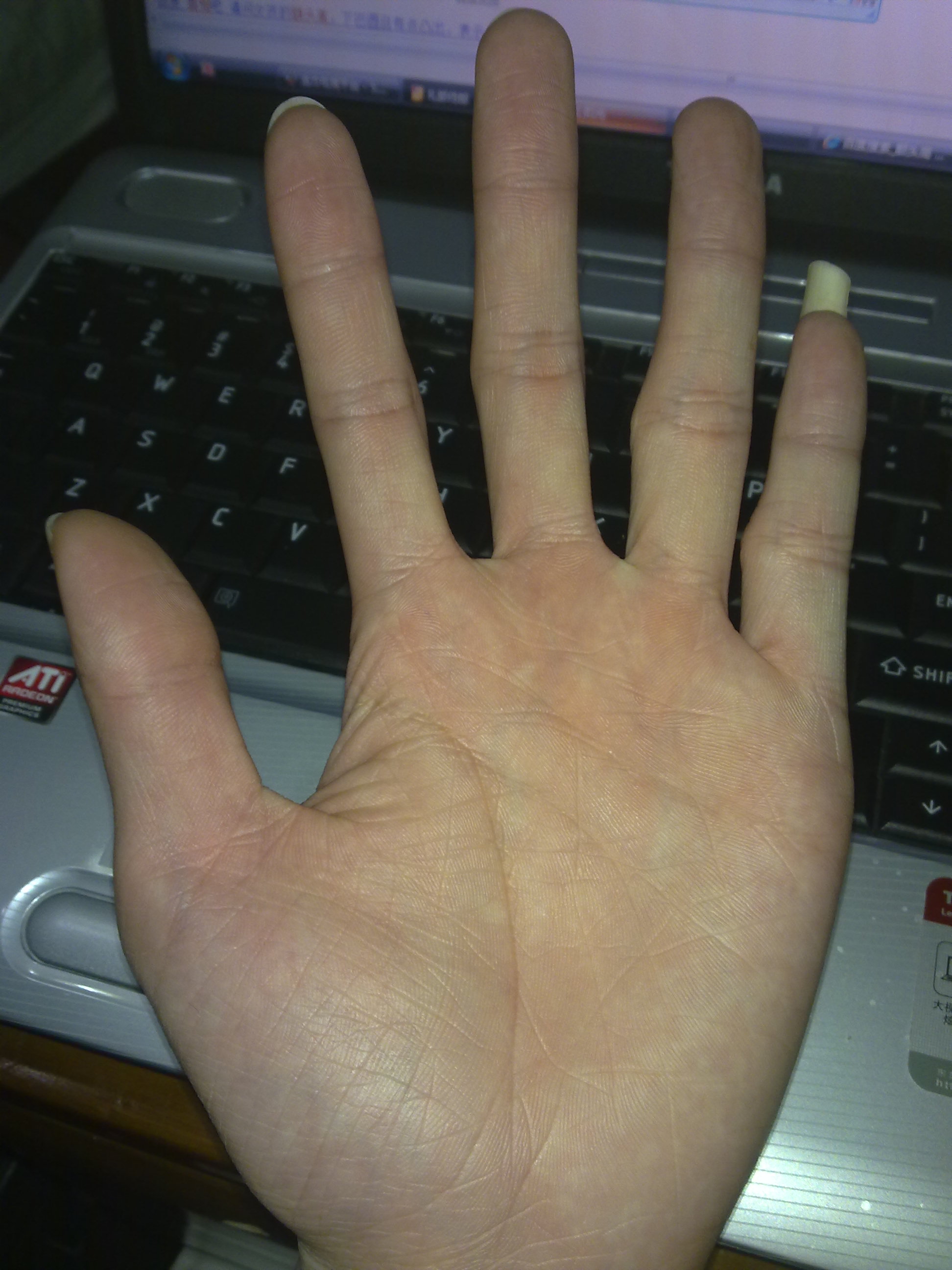 20100323075.jpg