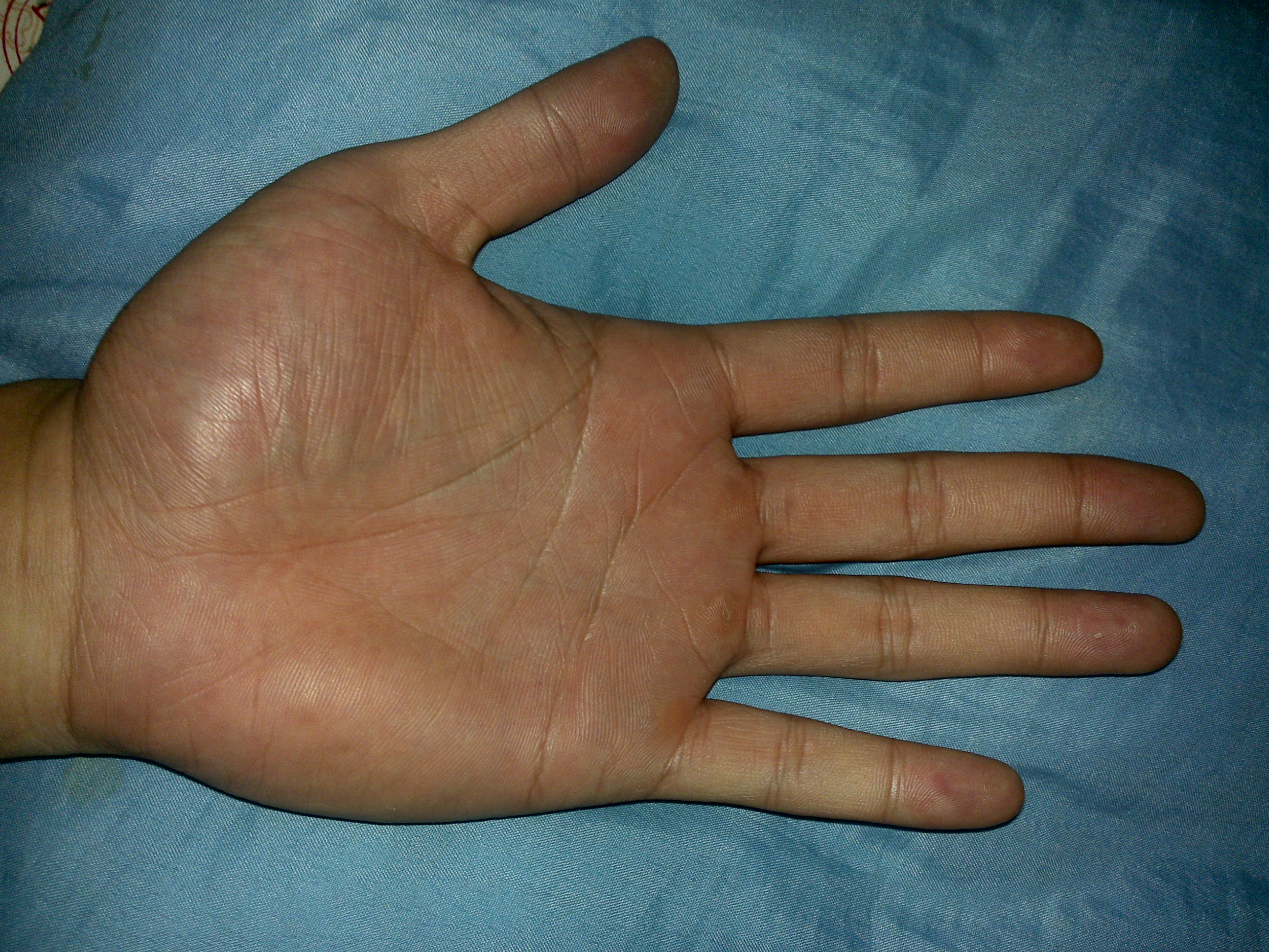 20101215001.jpg
