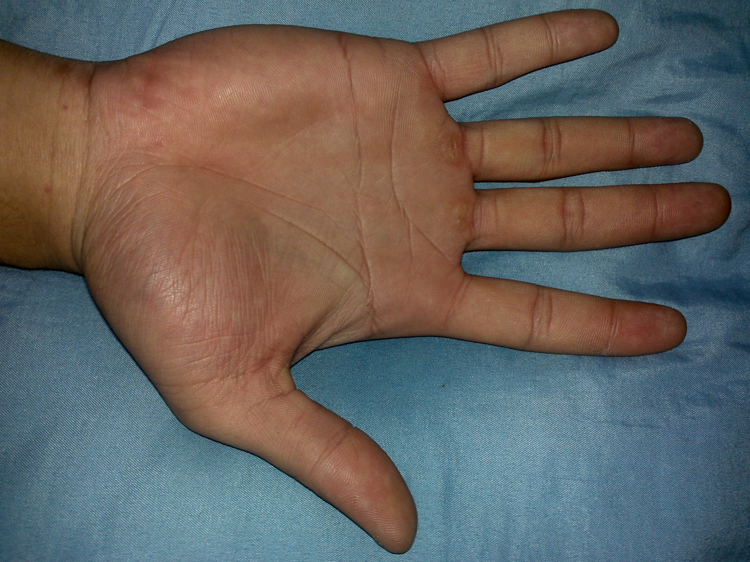 20101215002.jpg