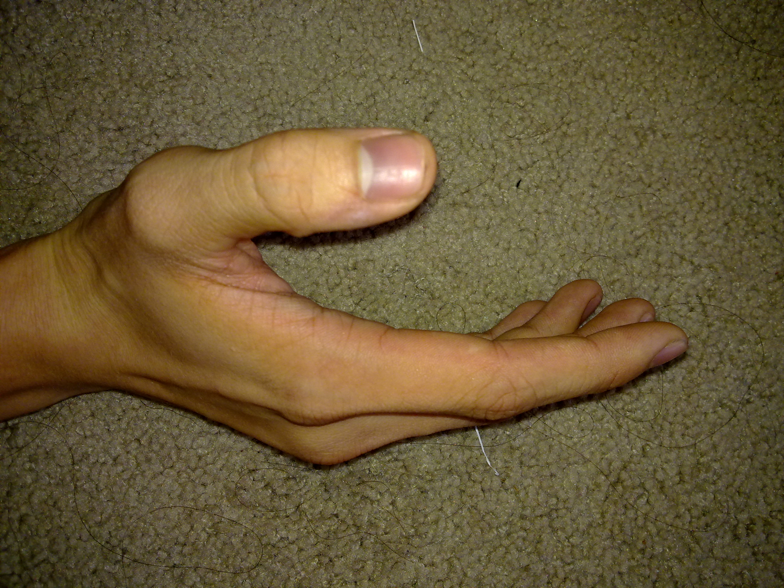 25092010473.jpg