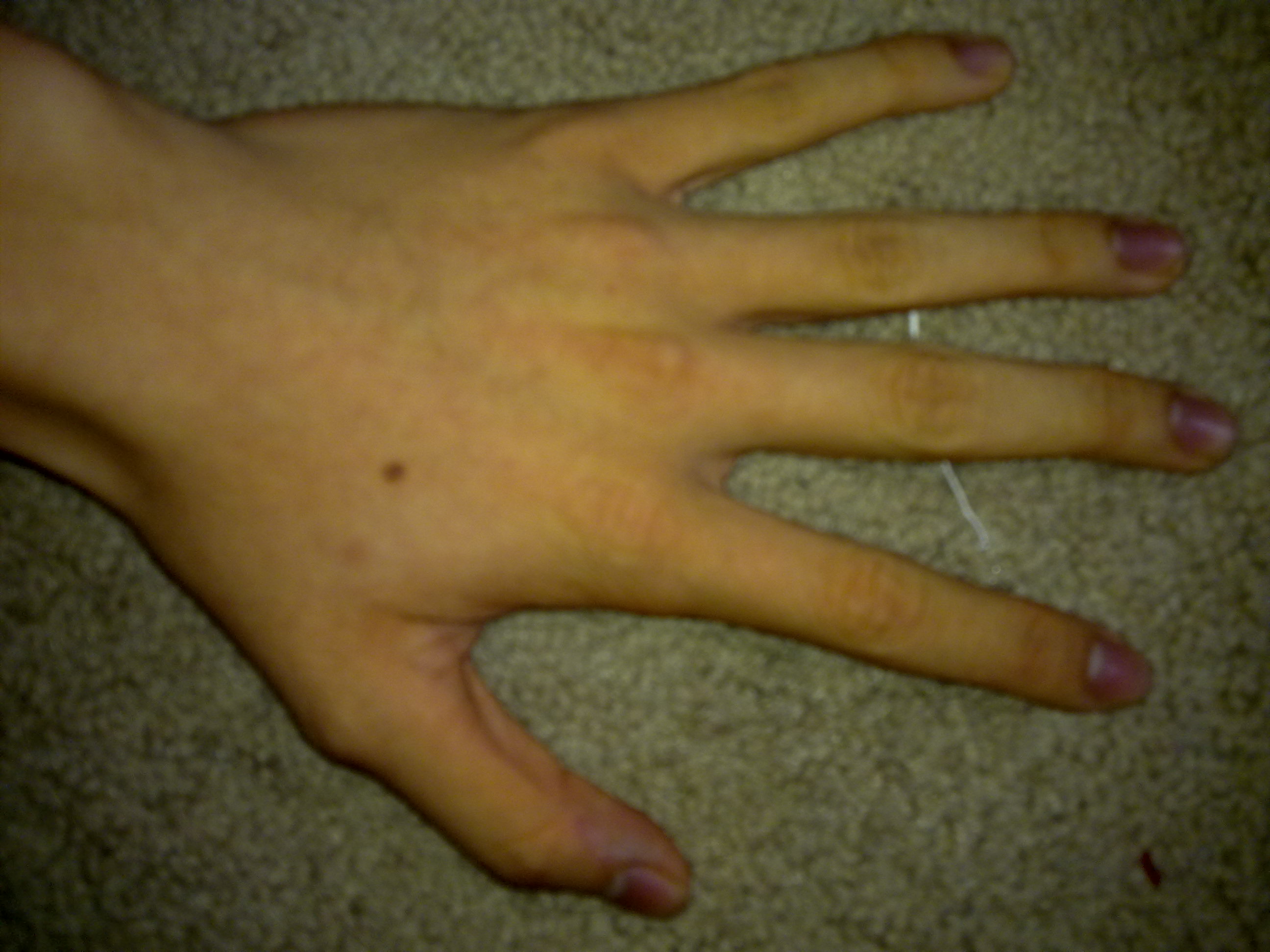 25092010475.jpg