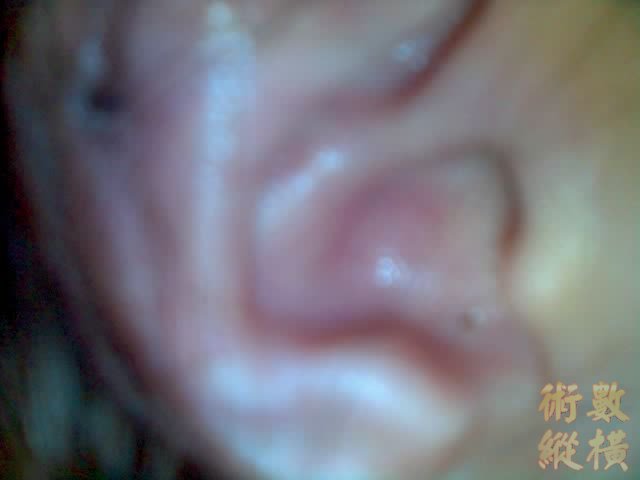 30-06-06_1817.jpg