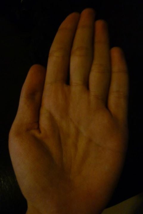424331_201783559921116_100002684190433_272972_380233470_n.jpg
