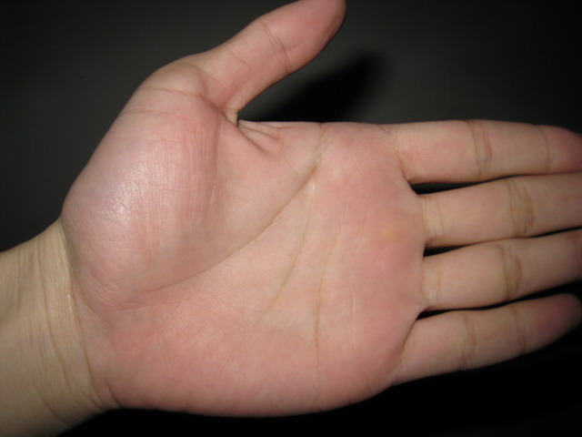 左掌4