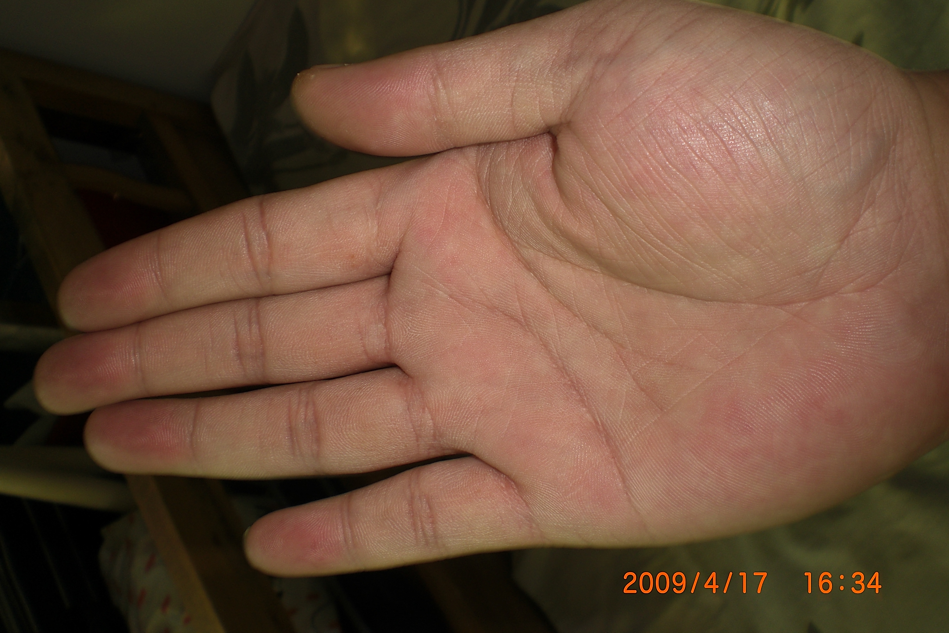 CIMG1263.JPG