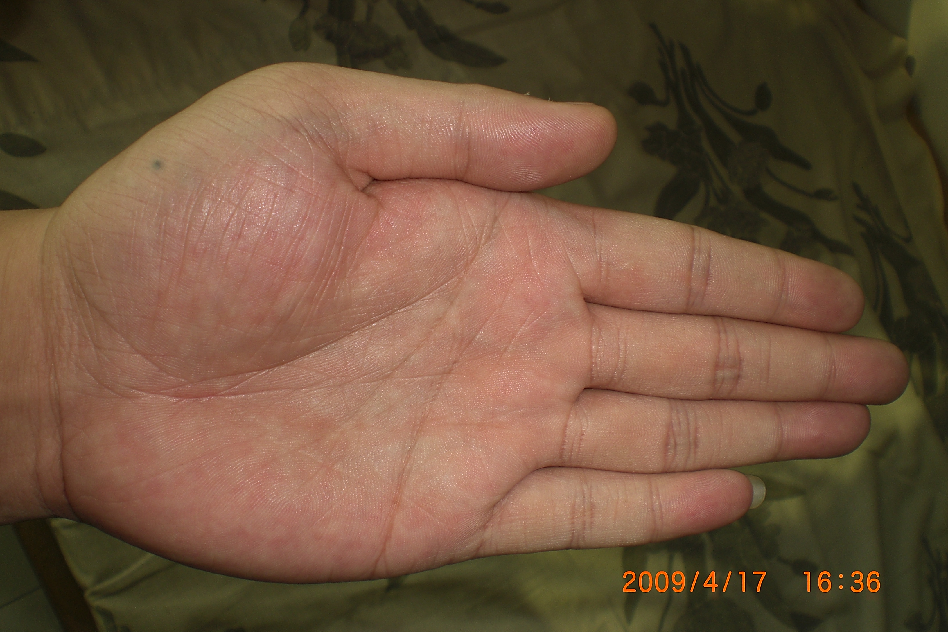 CIMG1267.JPG