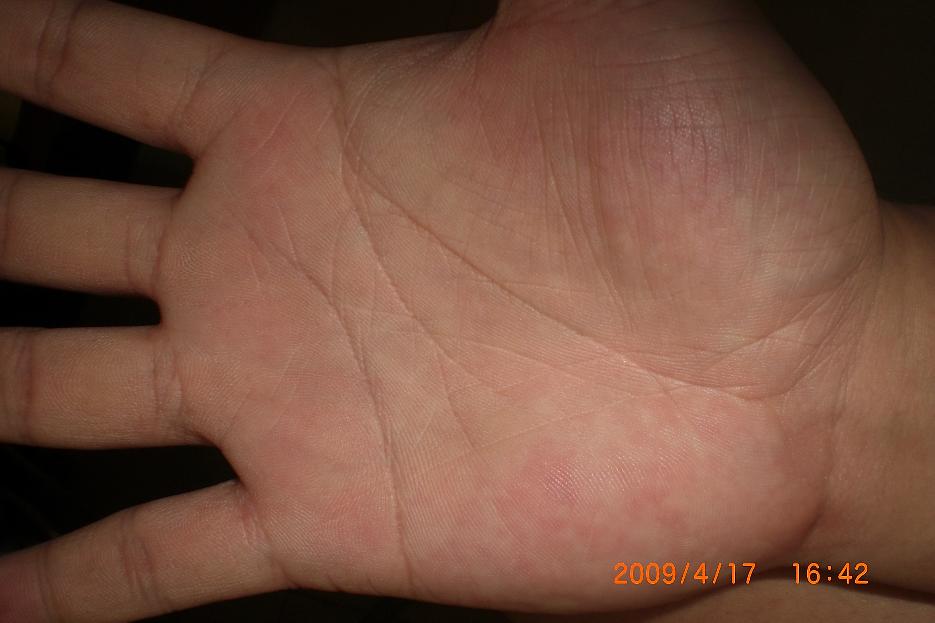 CIMG1272.JPG