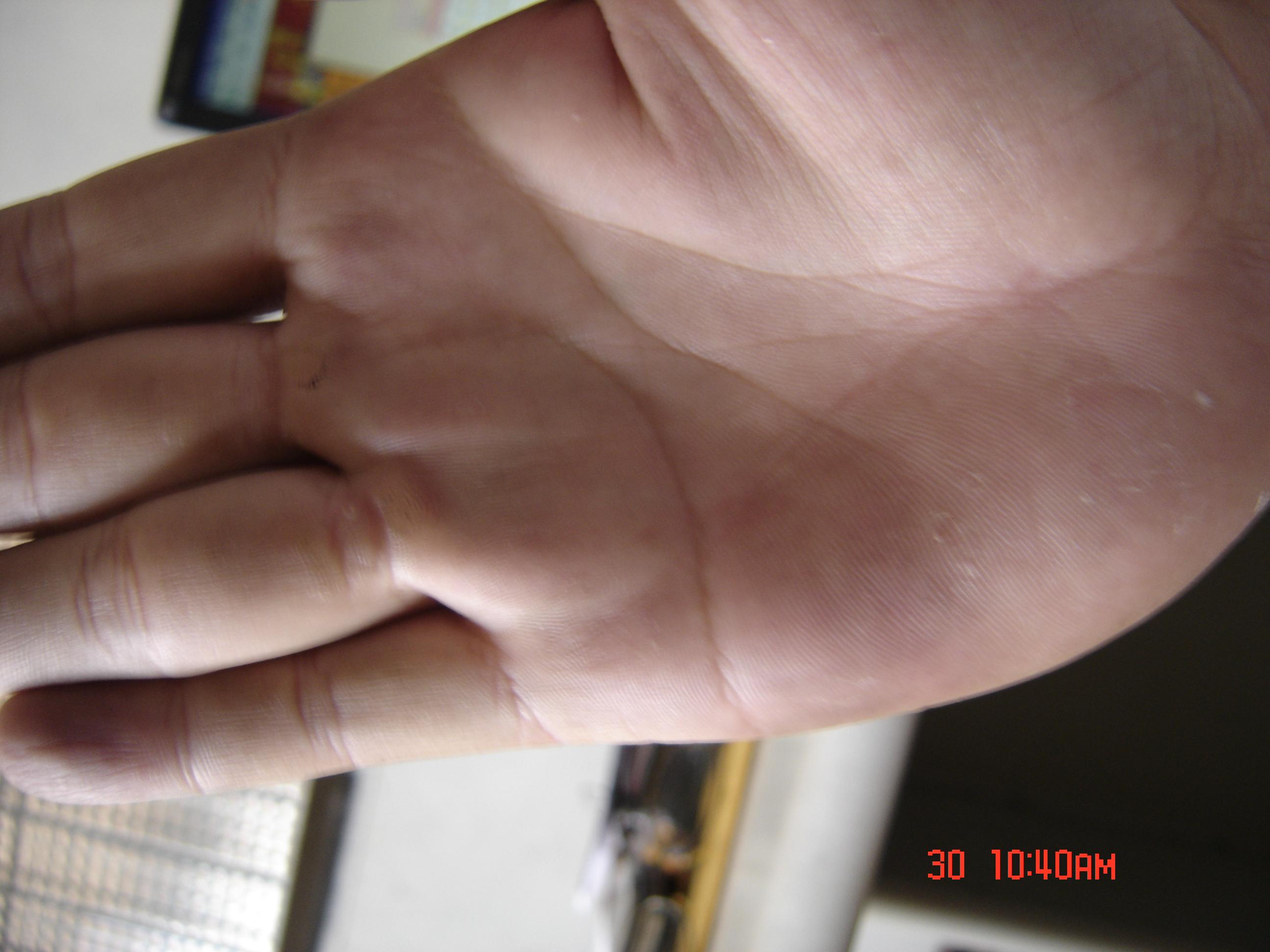 DSC00926.JPG