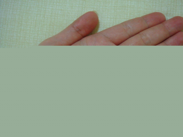 DSC03552_A0VqR7lfQrt7.jpg