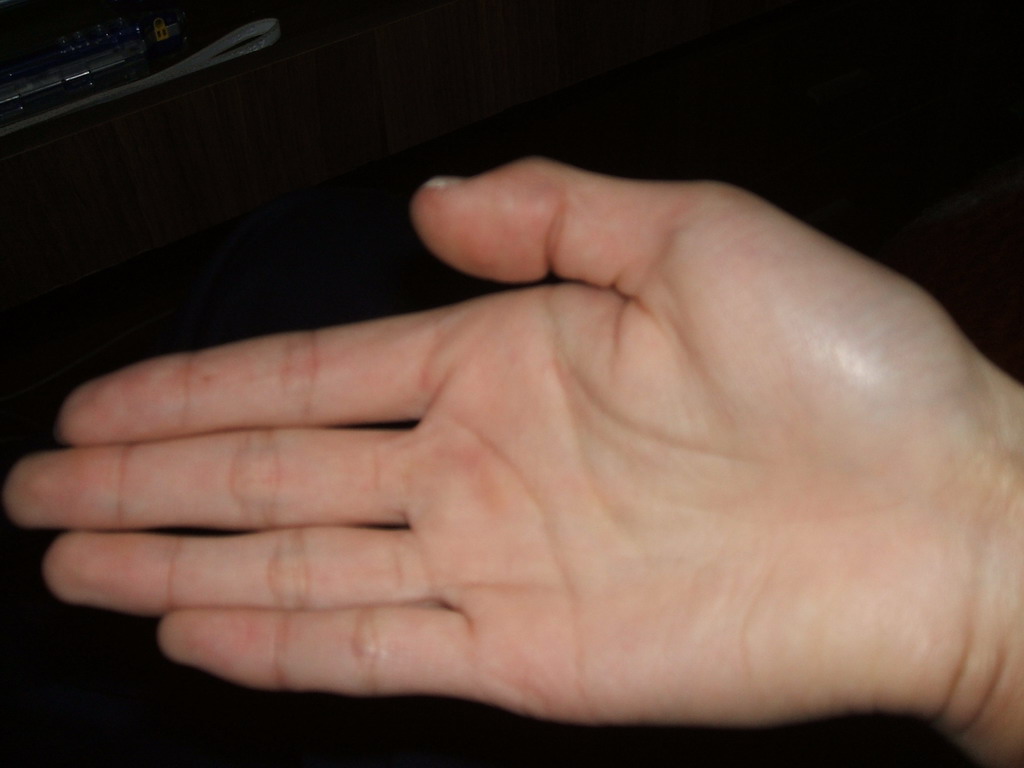 DSCF0245.JPG