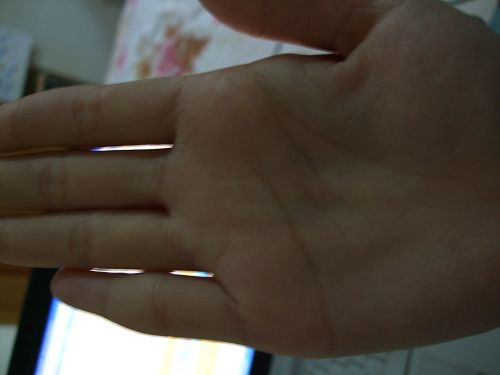 DSCF1171.jpg