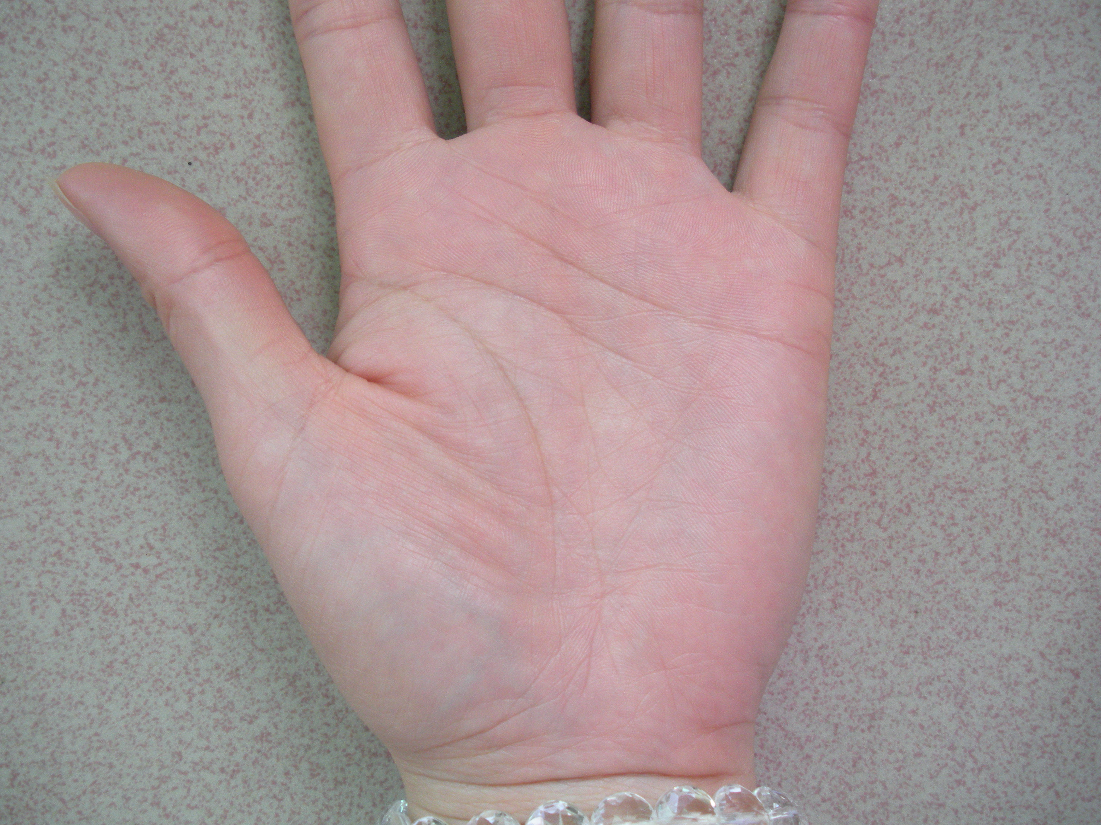 DSCN2741.JPG