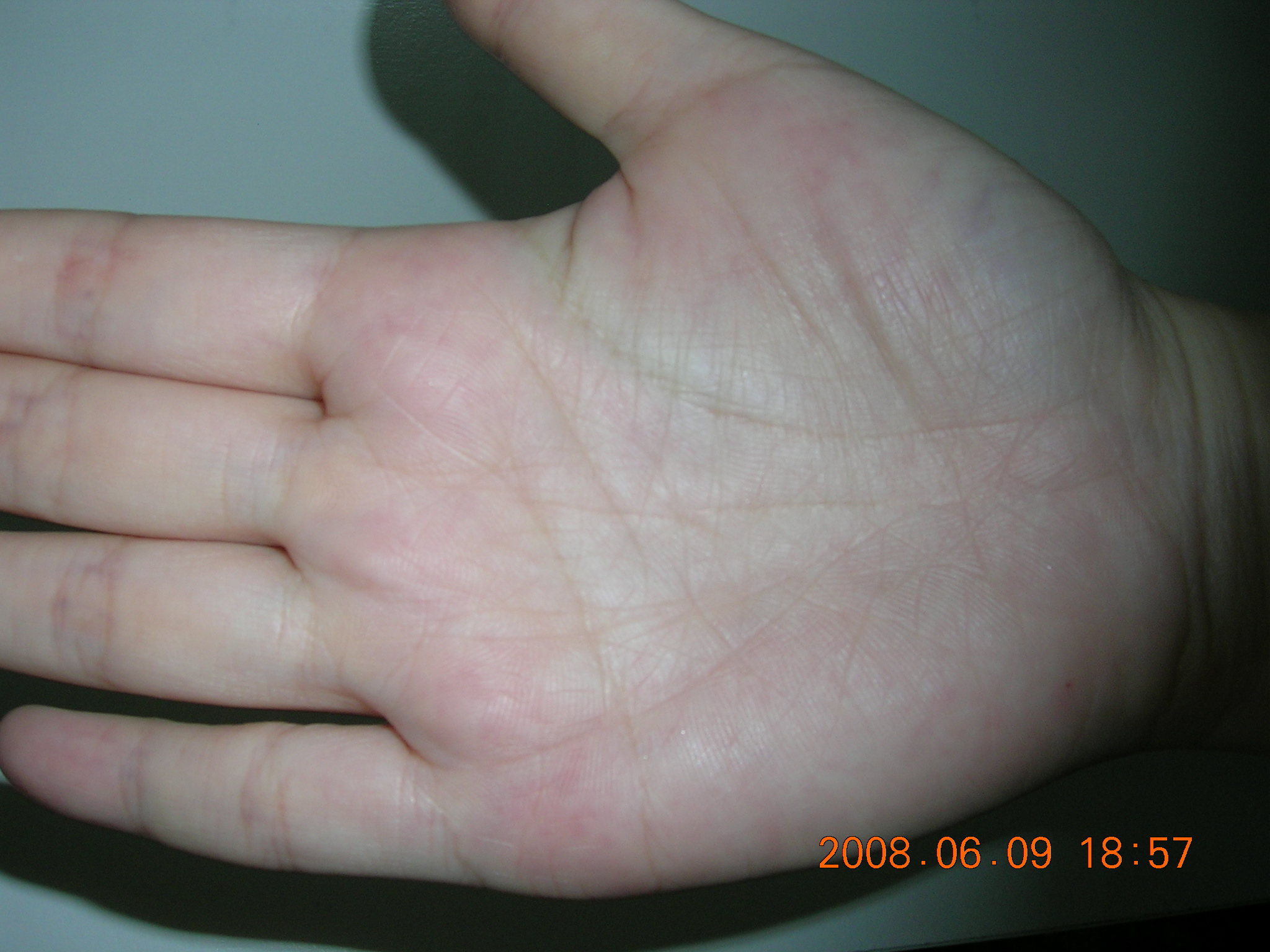 DSCN3201.JPG