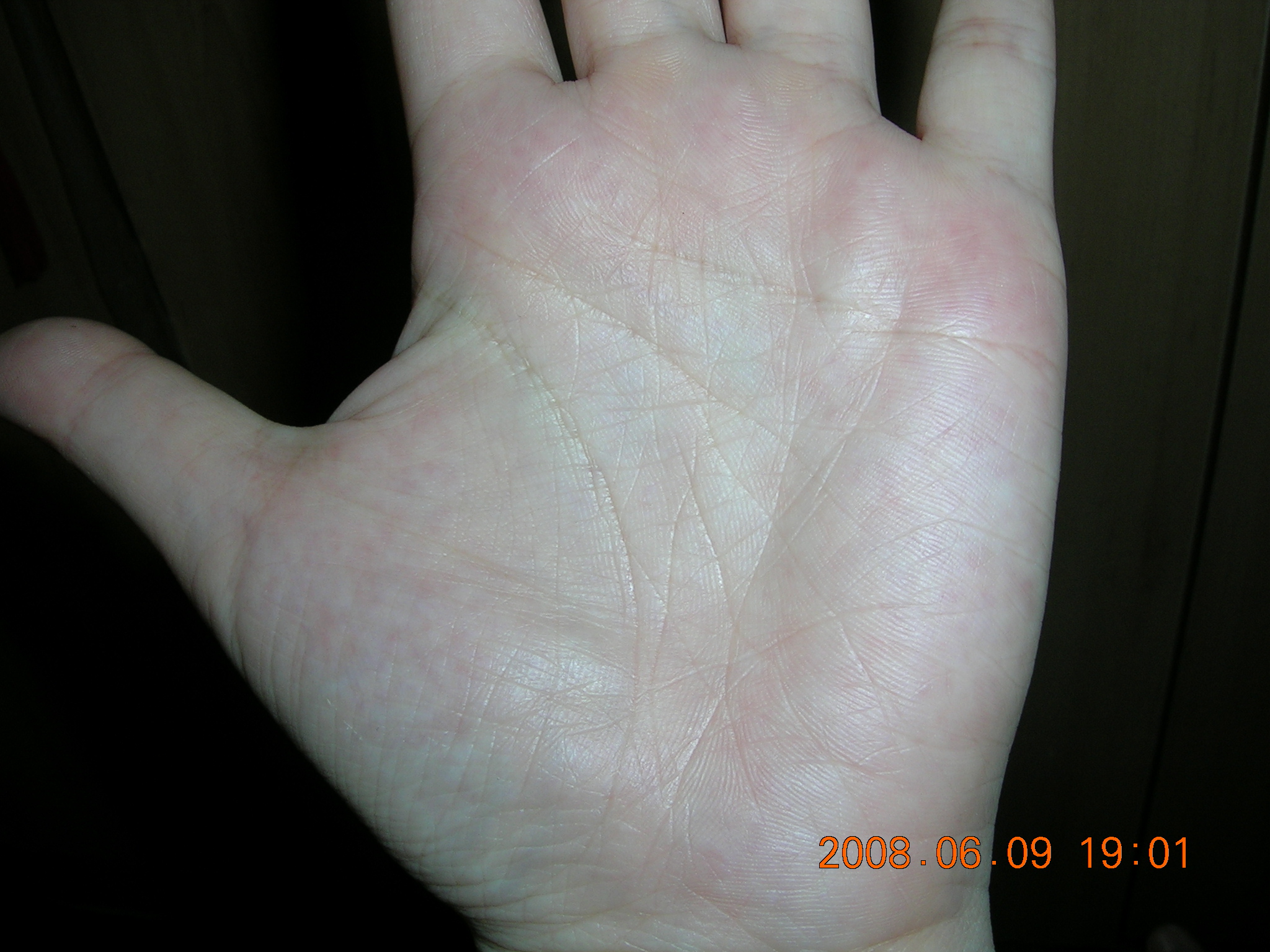 DSCN3208.JPG