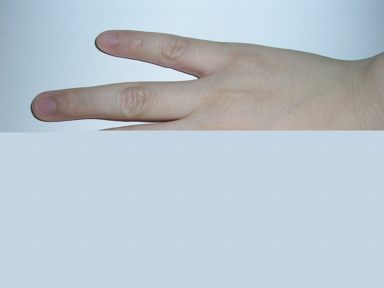 DSCN3219.JPG