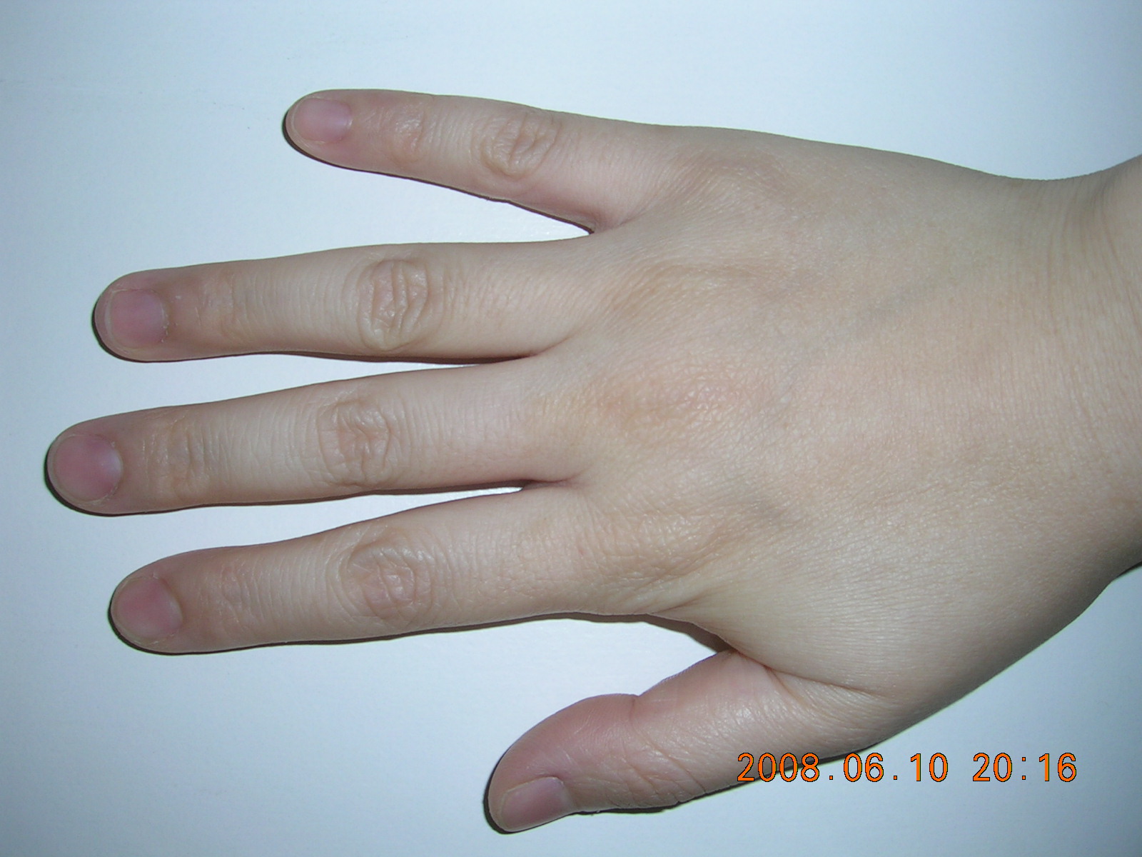 DSCN3219.JPG
