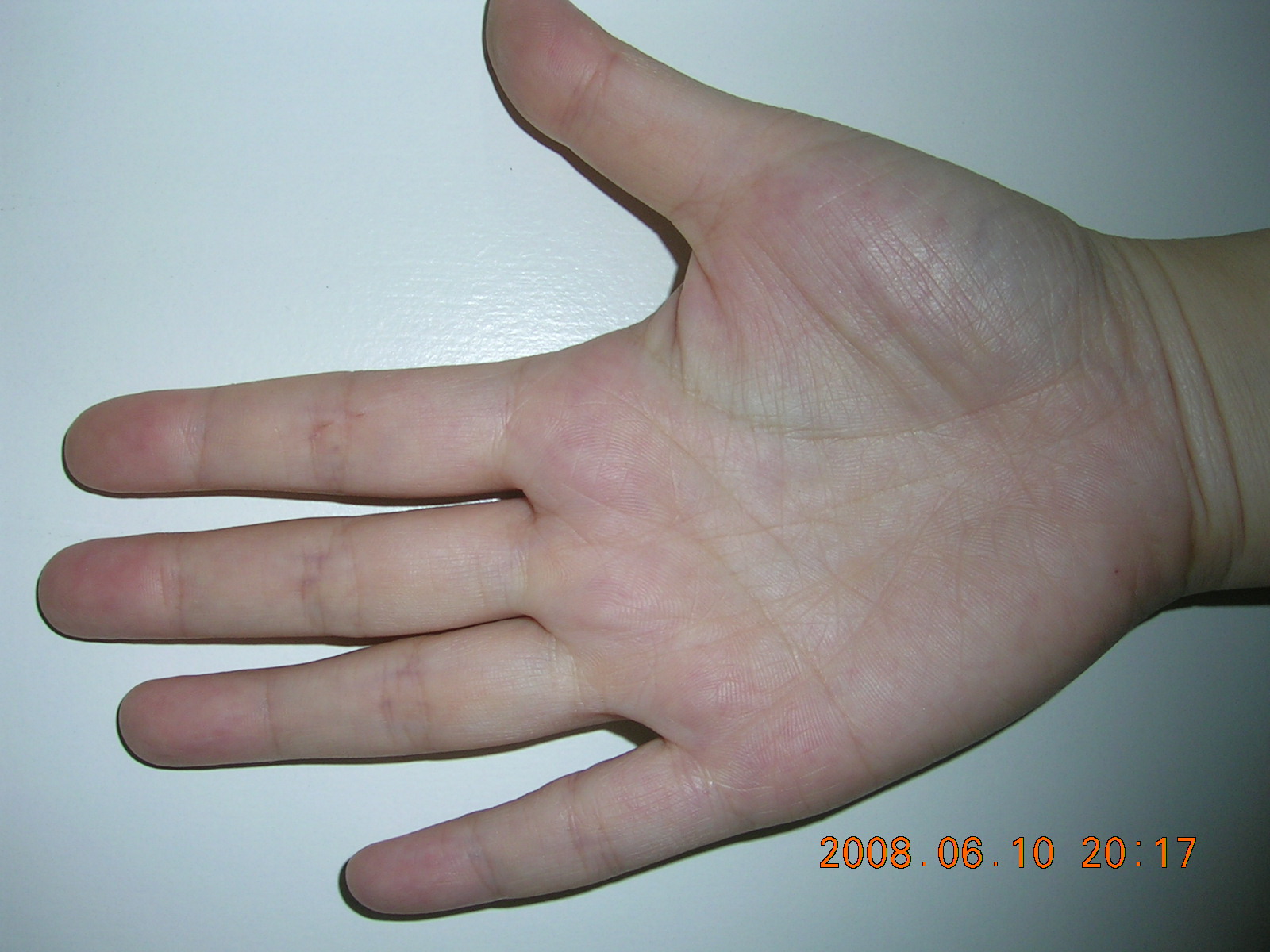 DSCN3223.JPG