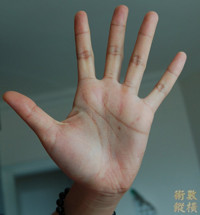 左手
