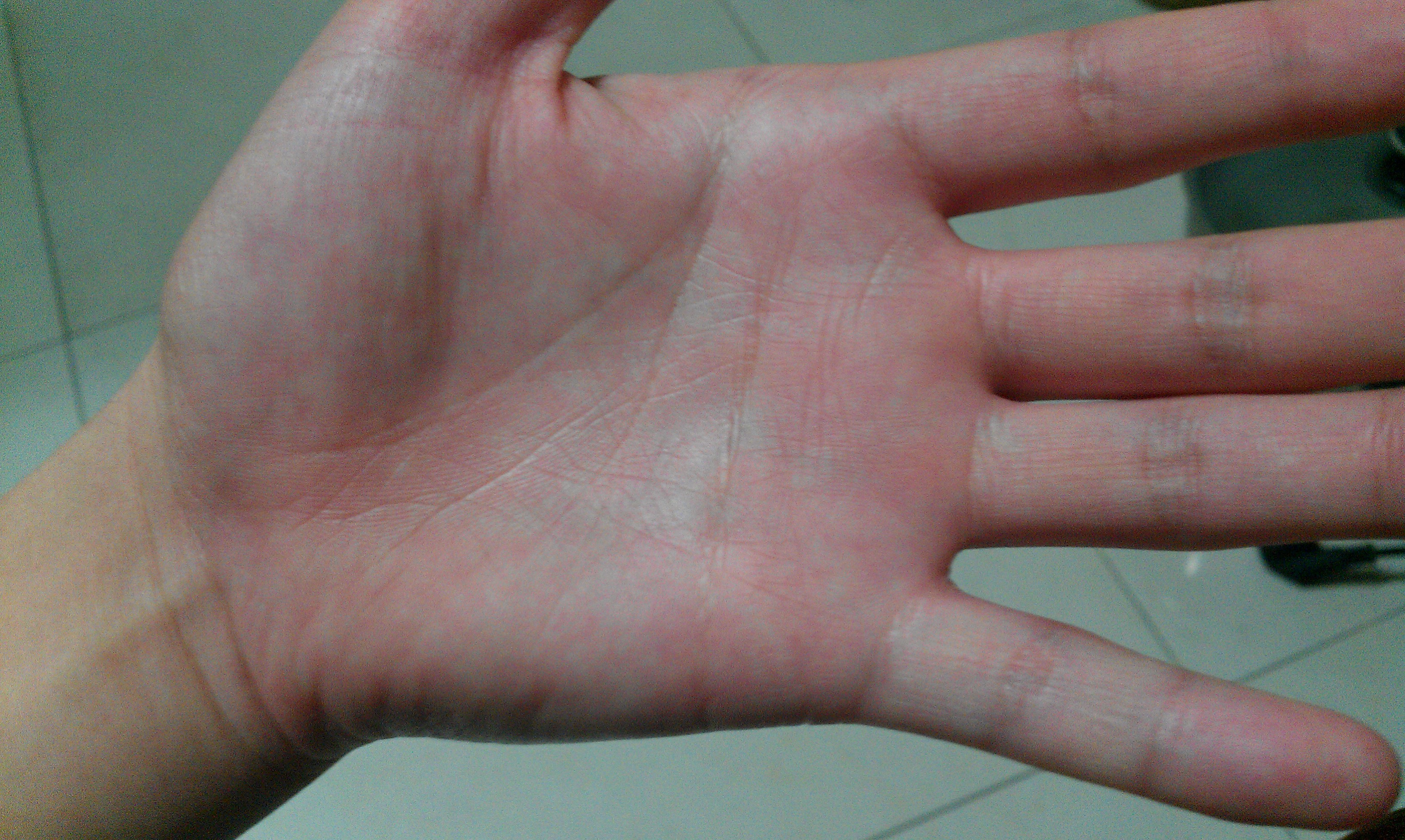 IMAG0076.jpg