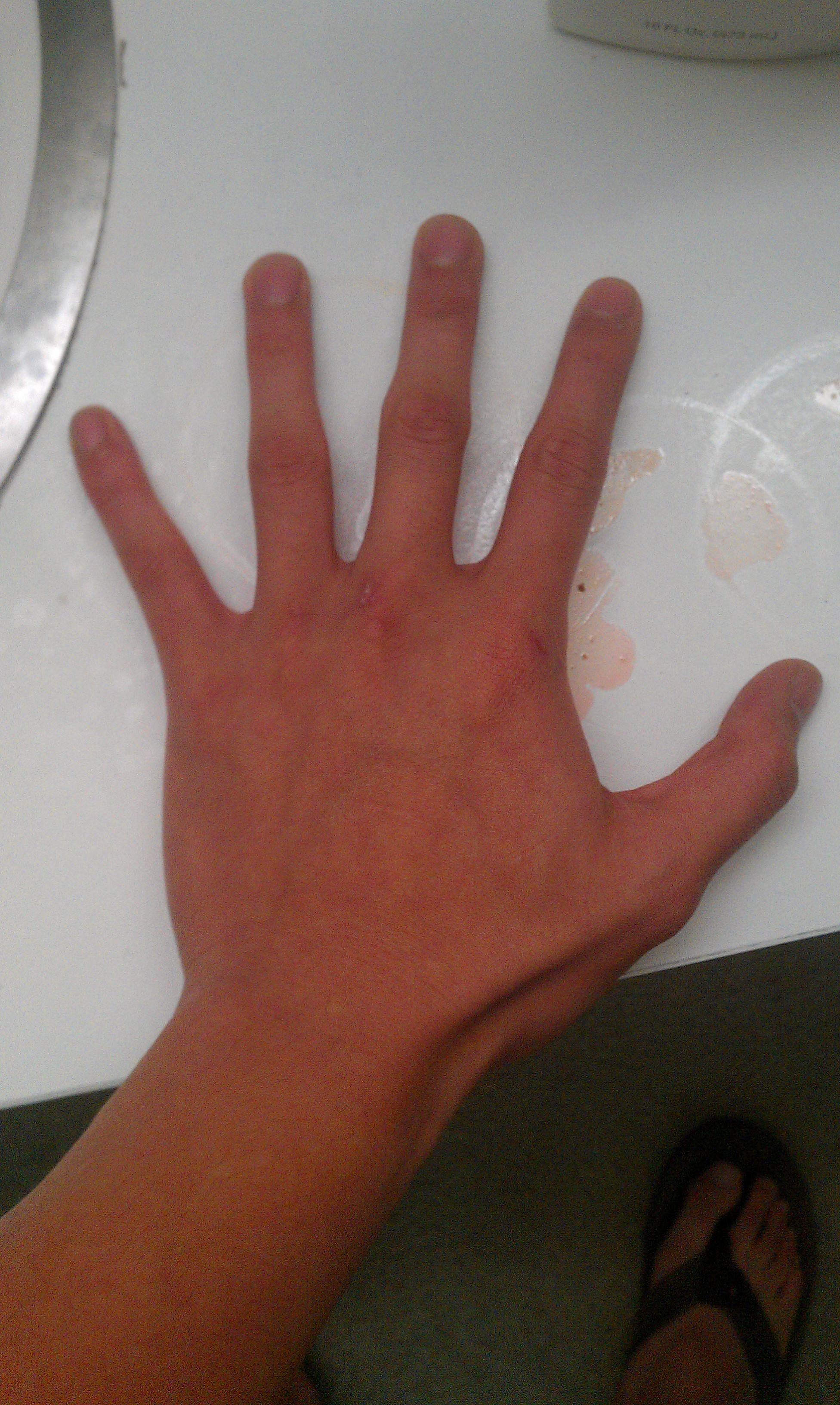 IMAG0354.jpg