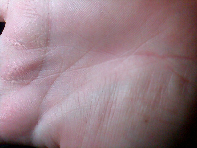 IMG0080A.jpg