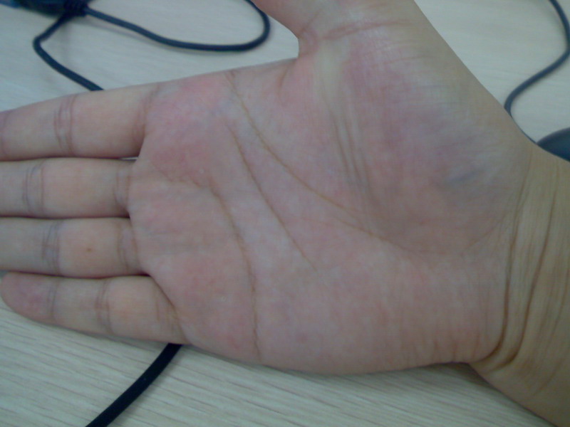 IMG010.jpg