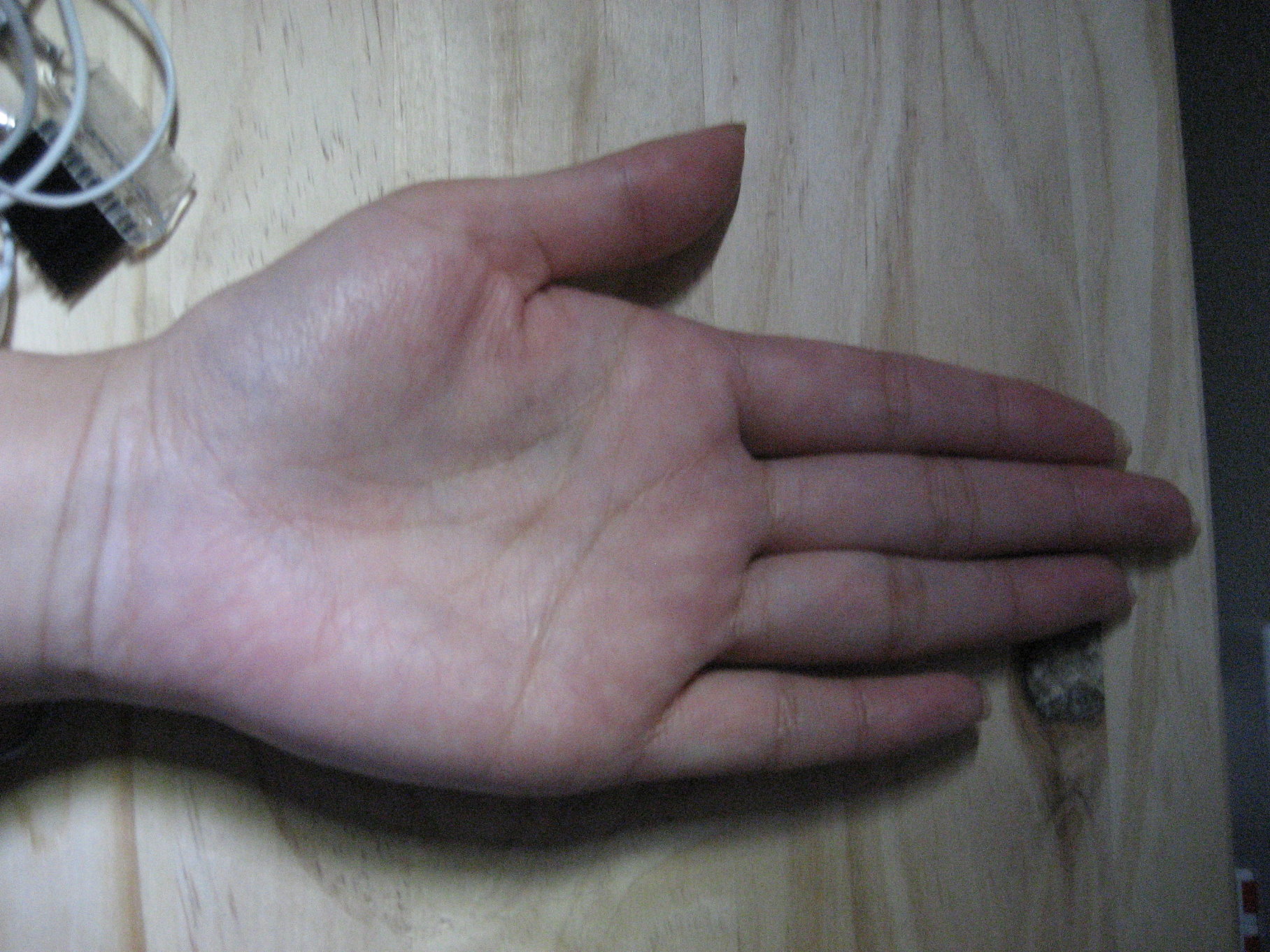 IMG_0848.JPG