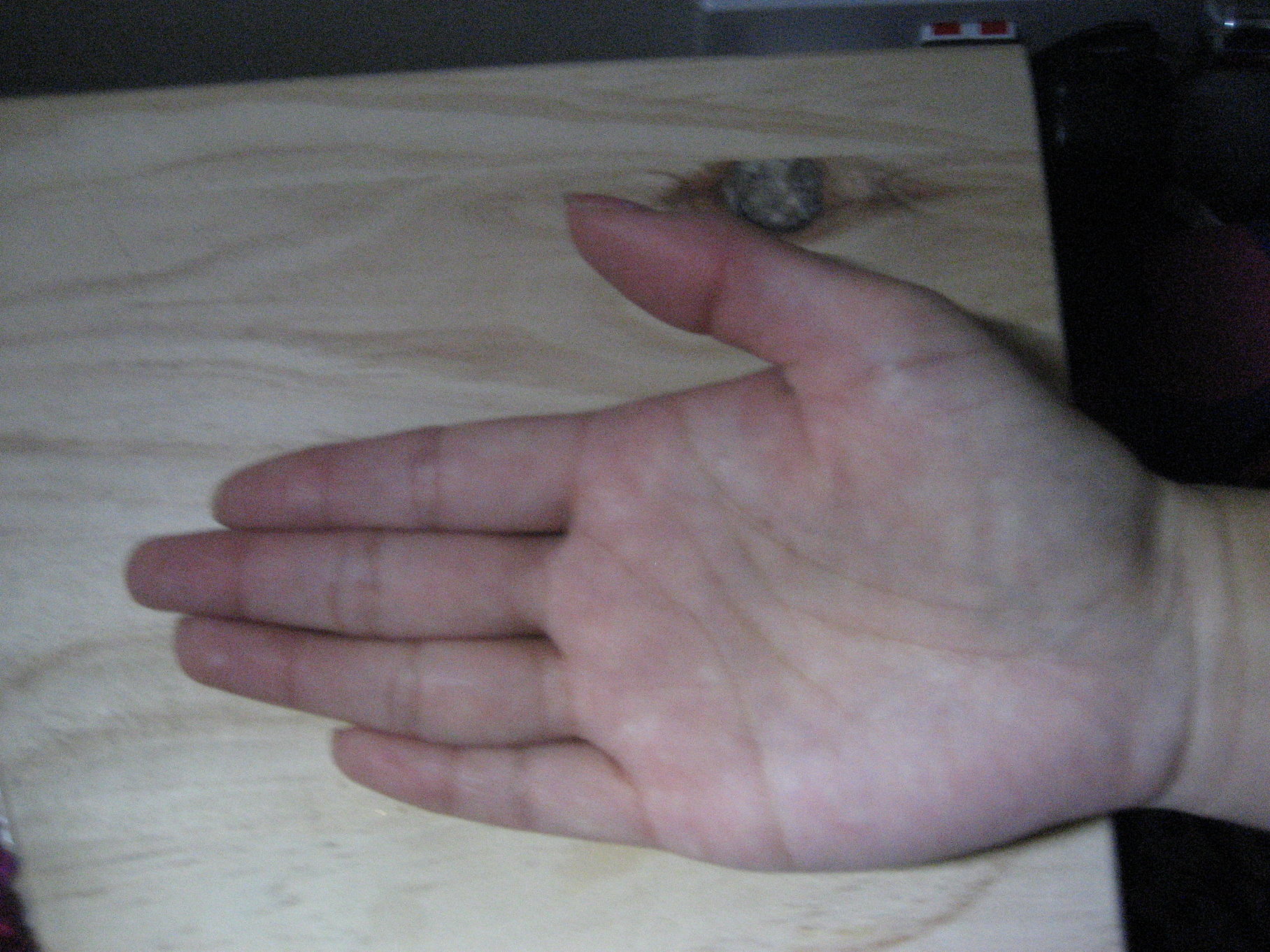 IMG_0849.JPG