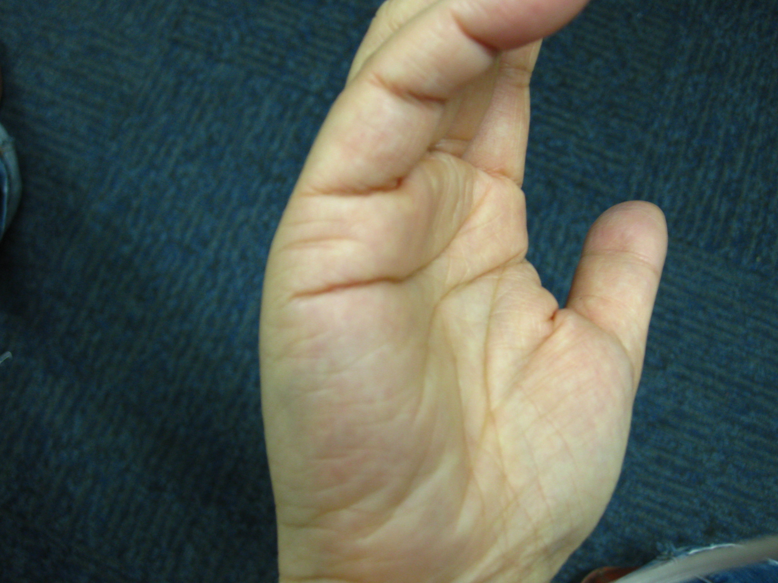 IMG_2312.JPG