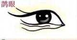 鹊眼1.jpg