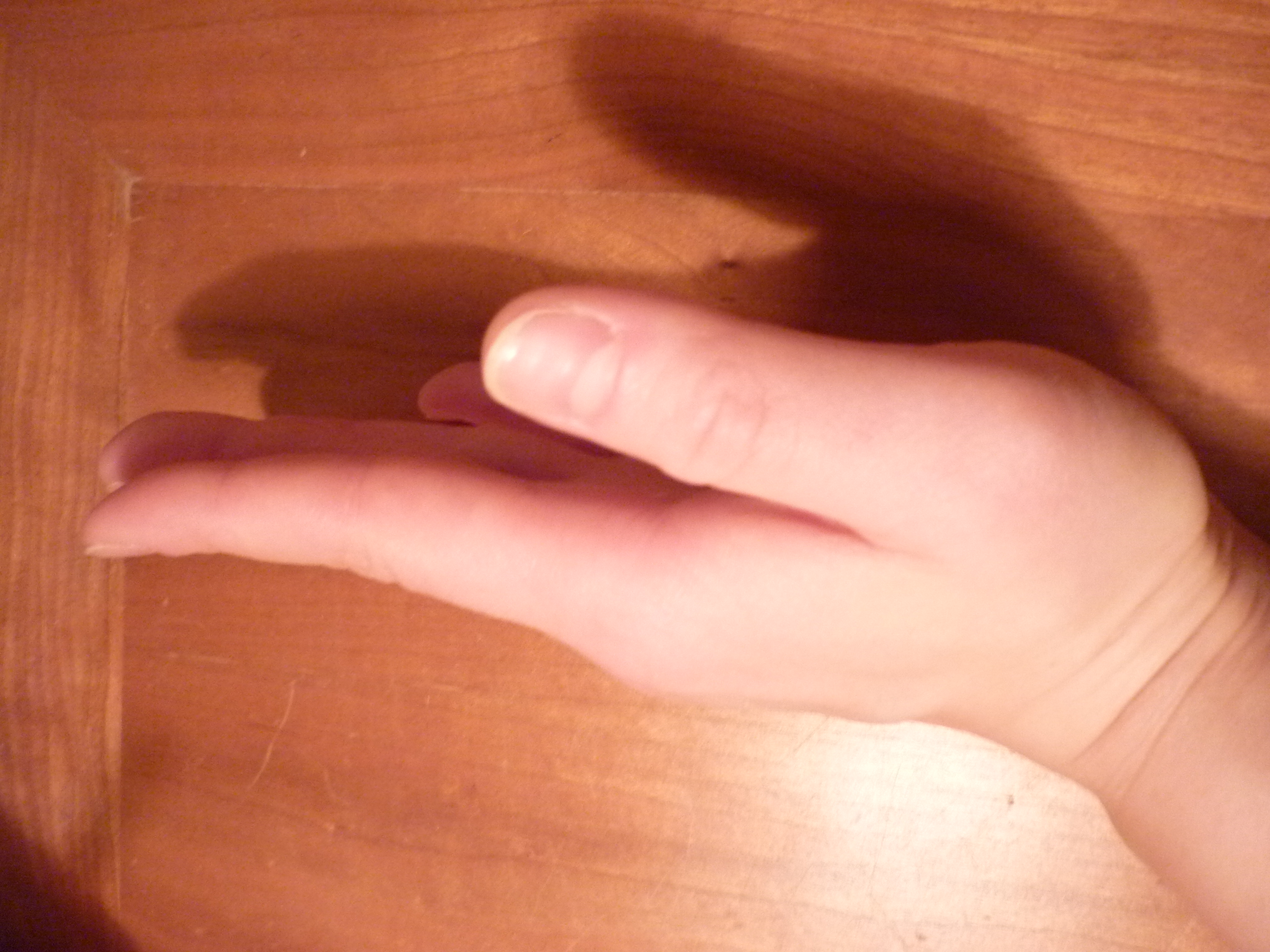 P1010205.JPG