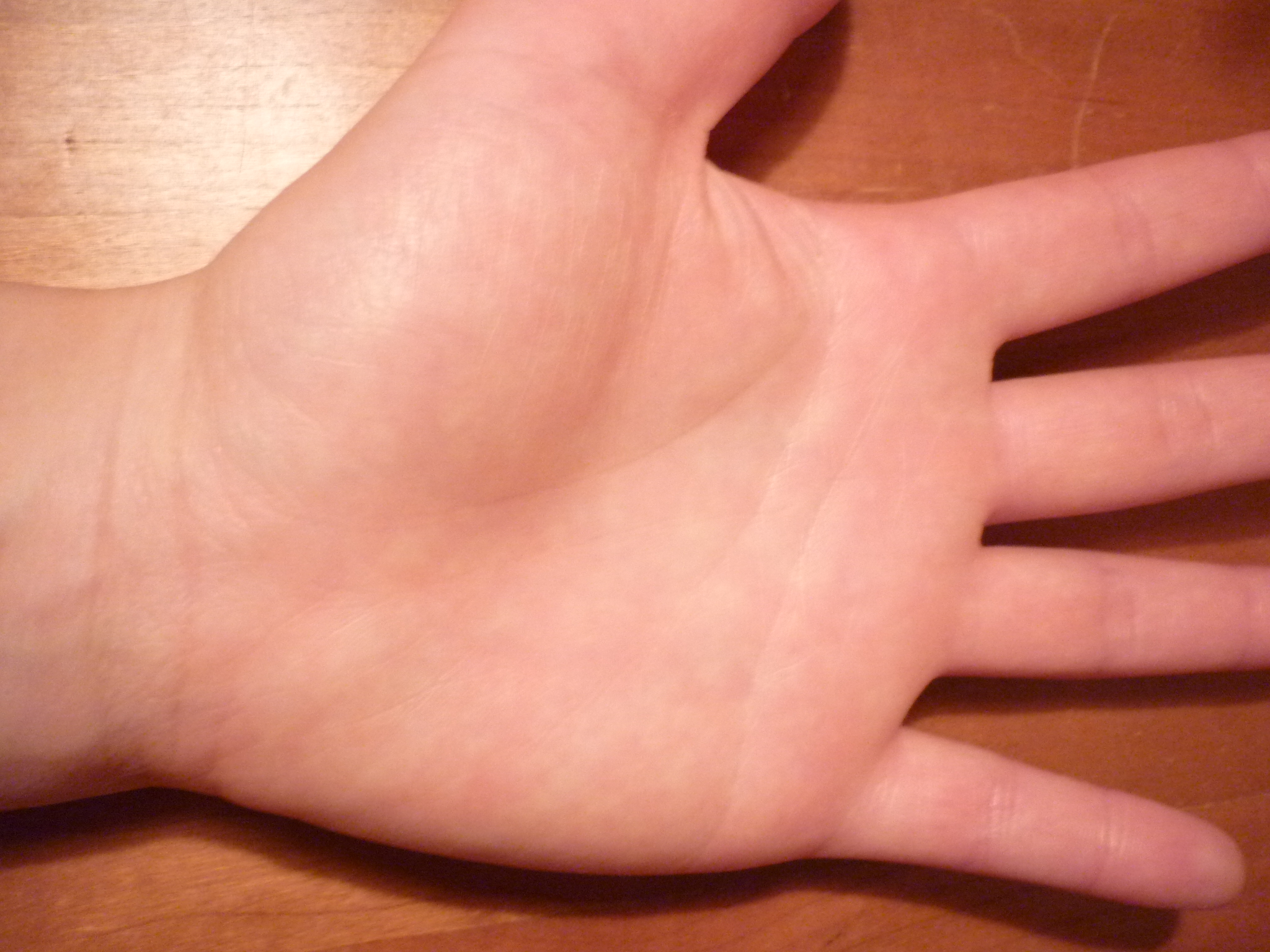 P1010206.JPG